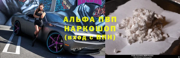 индика Армянск