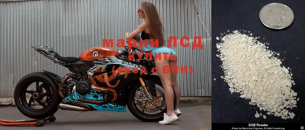 мдпв Арсеньев